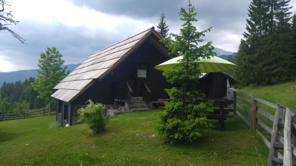Příroda nedaleko prázdninového domu