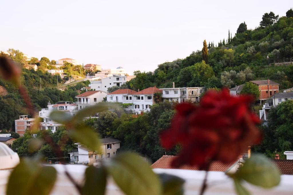 Bisha Apartments - 3