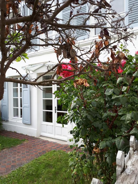 a white house with a bush with pink roses at La Maison Du 6 in Arromanches-les-Bains