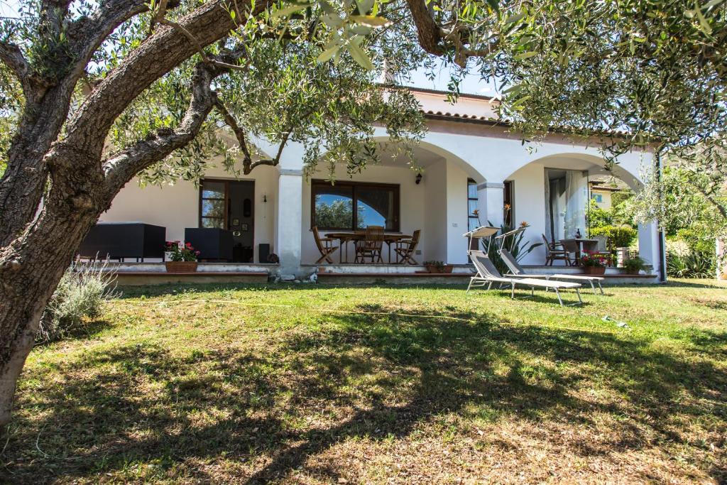 una casa con un cortile con un albero di Villa il Poderino a Marina di Campo