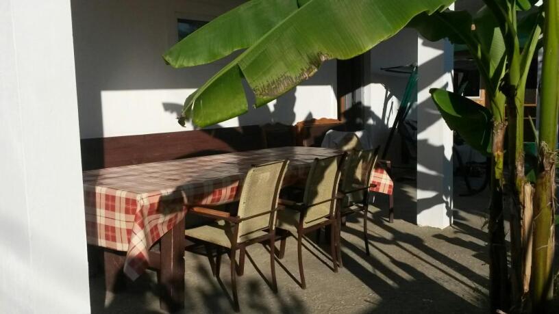 ロオにあるZelenaya Gorka Guest Houseの木製テーブルと椅子、テーブルと植物
