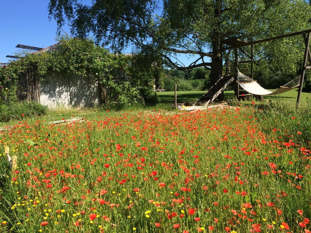 Zahrada ubytování Le Jardin Des Sources