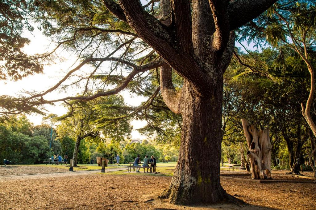 Quest Albany Serviced Apartments - Resim 12