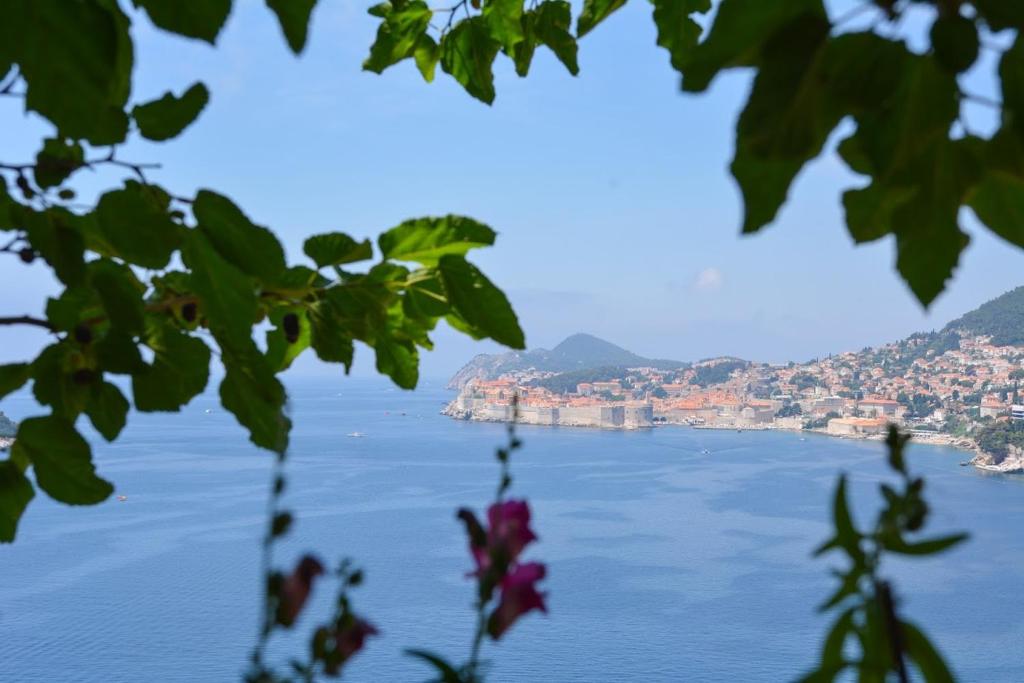 a view of the amalfi coast from behind a tree at Apartment and room Sveti Jakov in Dubrovnik