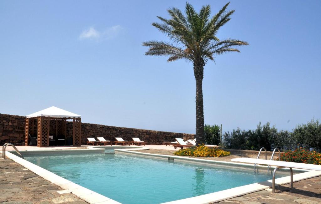 a palm tree and a swimming pool with a palm tree at Agriturismo Zinedi in Pantelleria