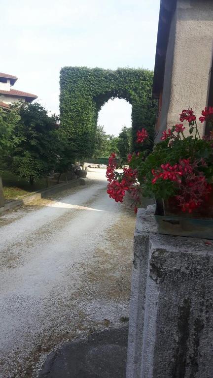 Zahrada ubytování Hotel Armida