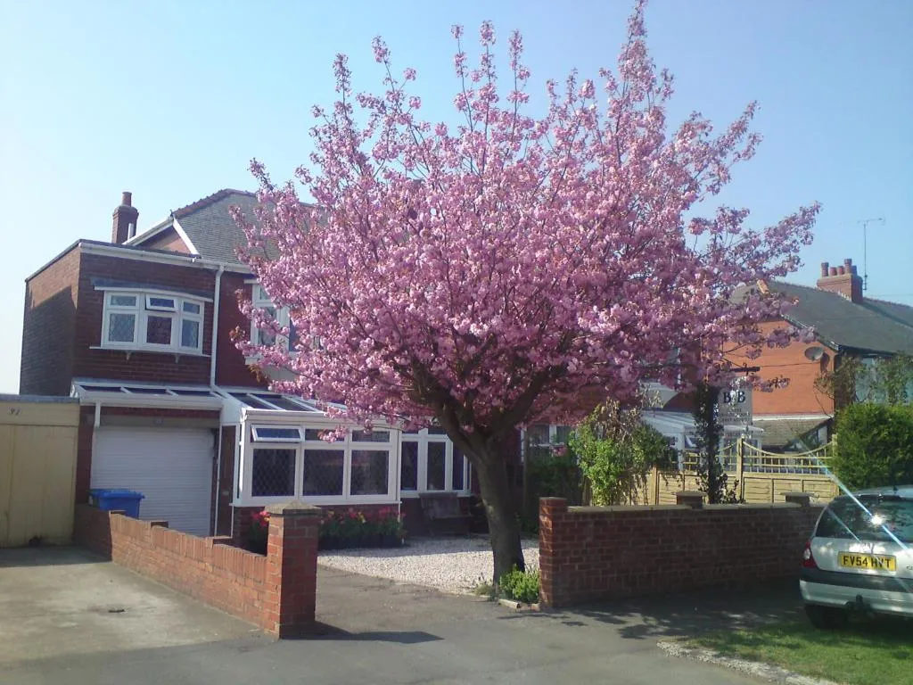 Cherry Blossom Guest House, Whitby, Marea Britanie