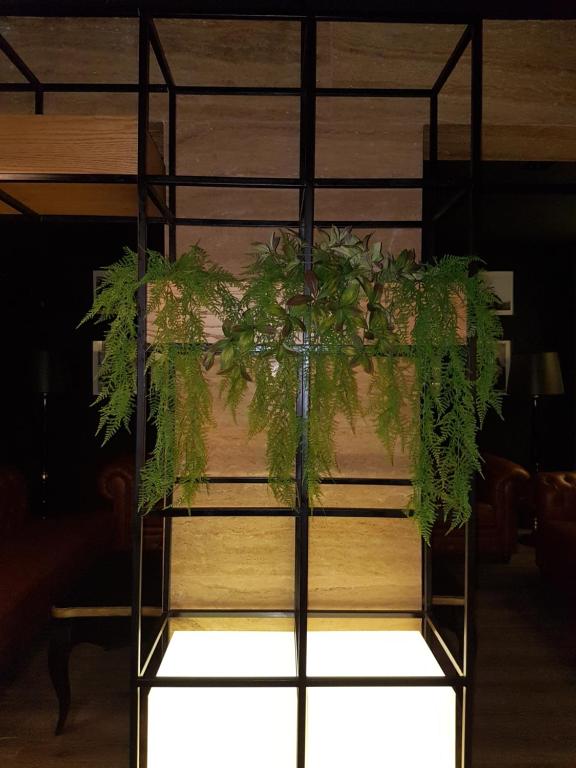 Fotografie z fotogalerie ubytování Hotel de Charme v destinaci Tirana