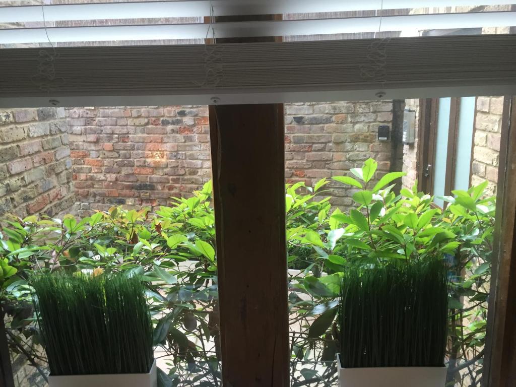 a window with two plants in front of a brick wall at Harpenden House in Harpenden