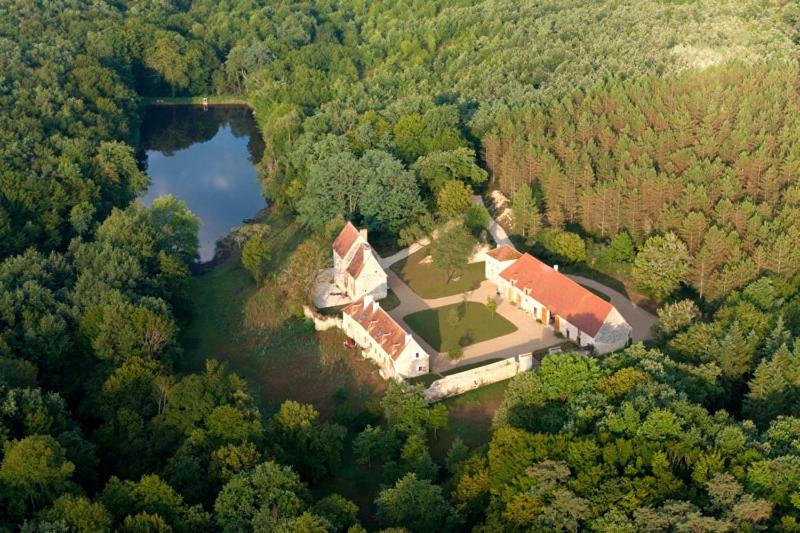an aerial view of a house in the middle of a forest at Domaine du Ris de Feu in Chalais