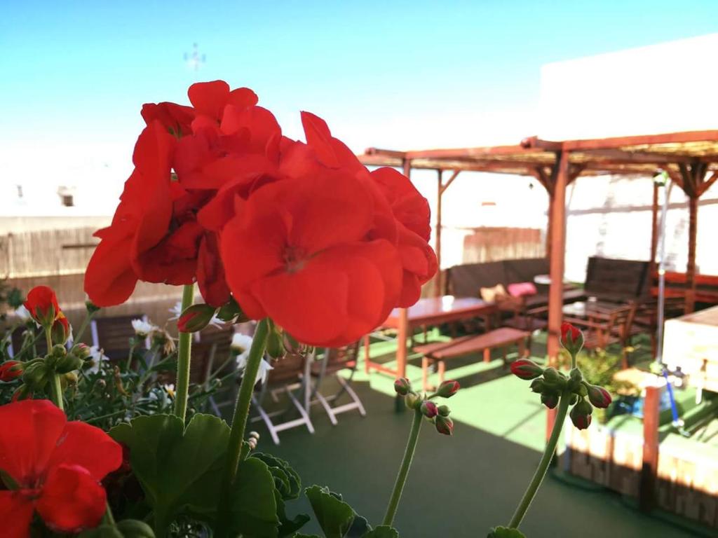 Fotografie z fotogalerie ubytování Summer Cádiz v destinaci Cádiz