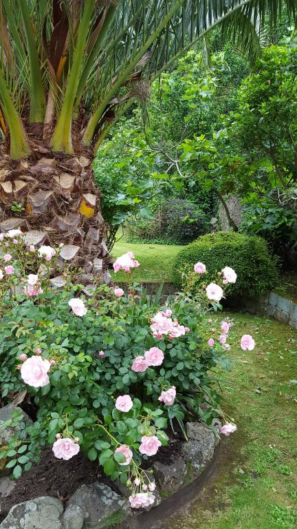 Zahrada ubytování Franklyn Guesthouse