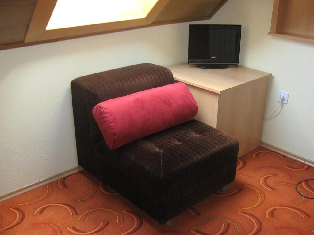 TV a/nebo společenská místnost v ubytování Apartments and rooms Oasis of peace