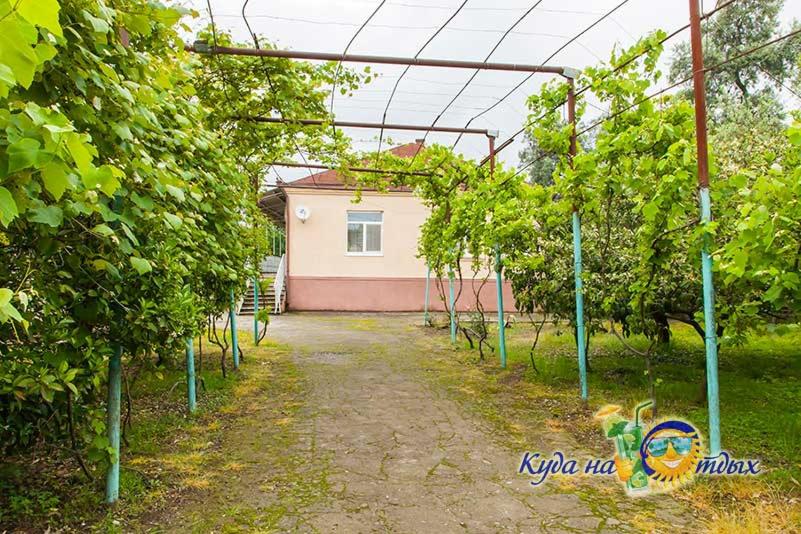 a row of apple trees in front of a house at U Vili in Pizunda