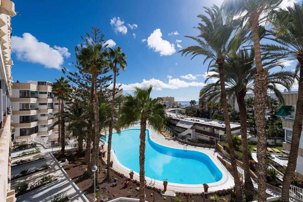 a view of a swimming pool with palm trees at Apartamentos Karma in Playa del Ingles