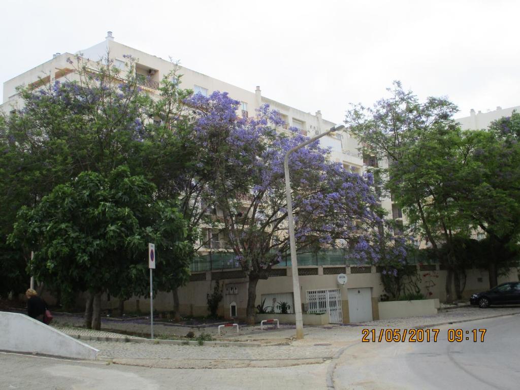 a building with purple flowering trees in front of it at Edificio Nau in Armação de Pêra