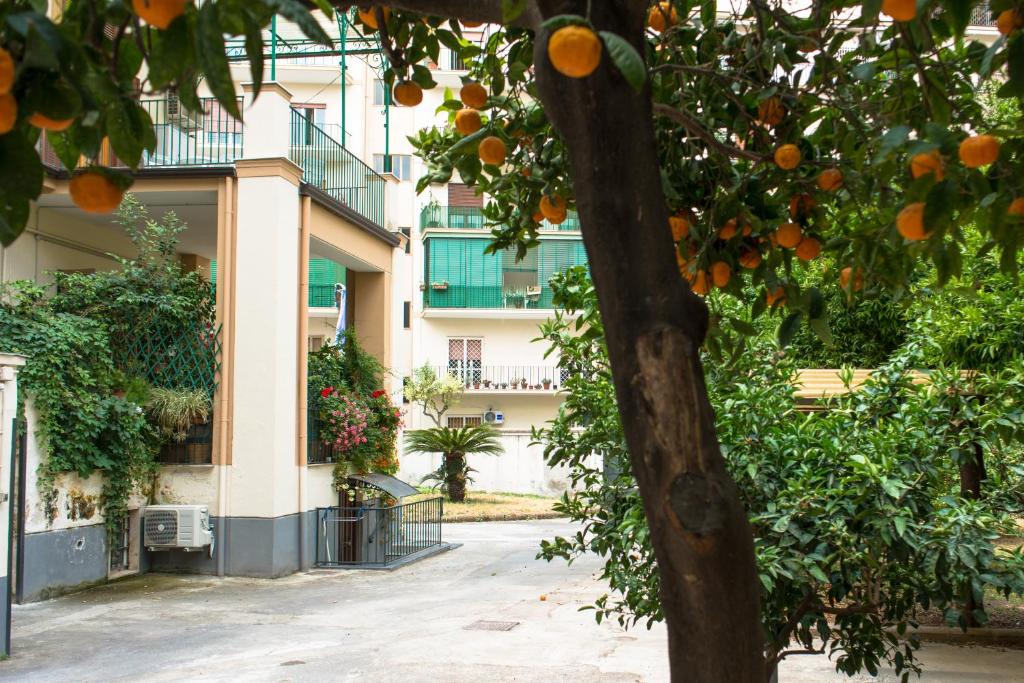 ポルティチにあるB&B Il Nidoの建物前のオレンジの木