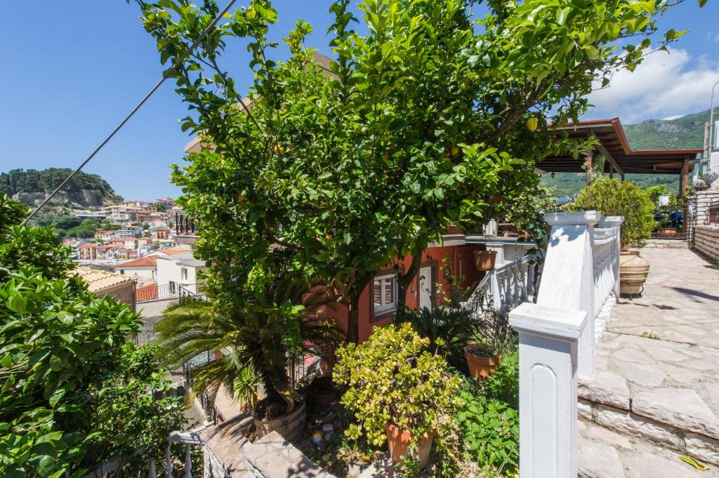 Petros Penthouse - 13