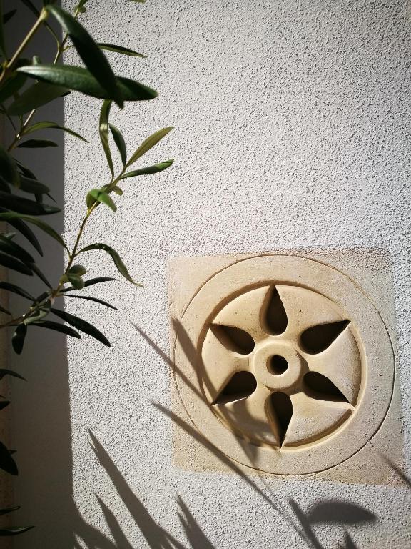 Fotografie z fotogalerie ubytování TerraViva B&B v destinaci Polignano a Mare