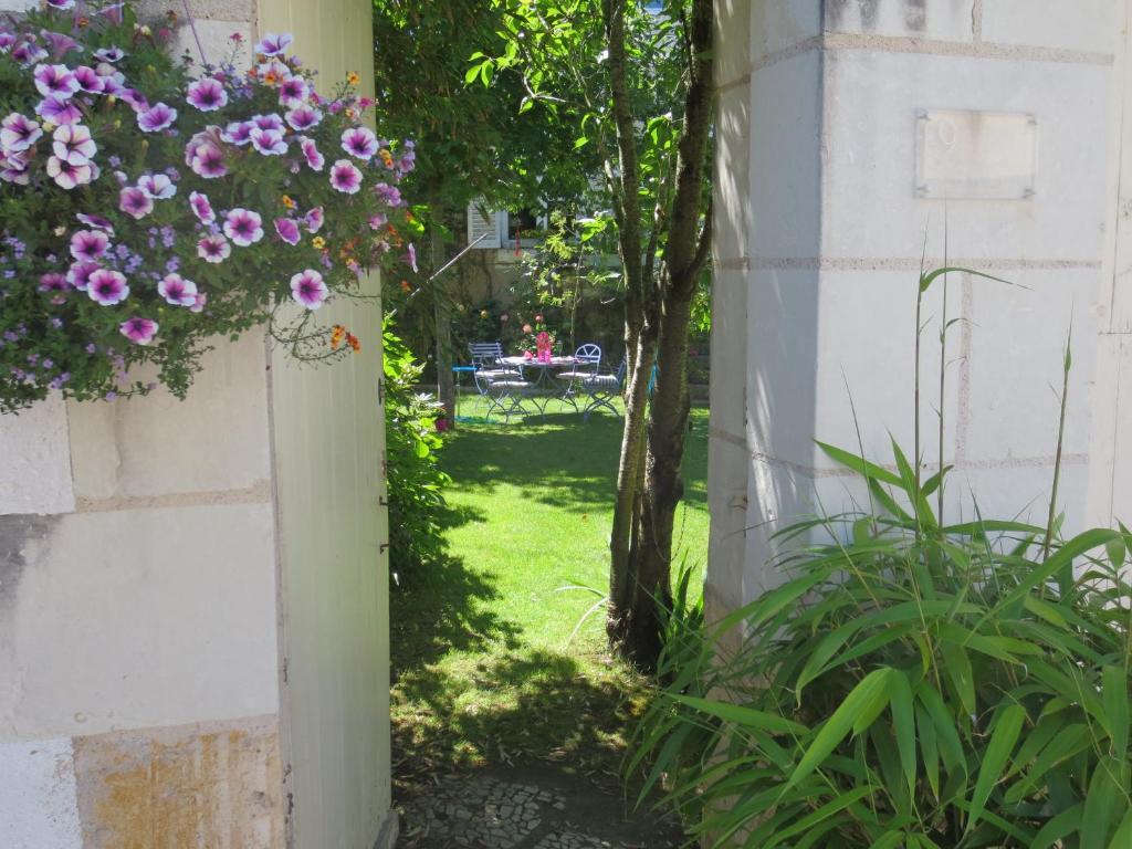 un jardin avec des fleurs roses suspendues sur un mur dans l'établissement La Fenice Beauval, à Saint-Aignan