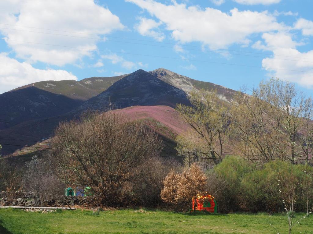 a mountain in front of a green field with trees at Planet Ancares in Candín