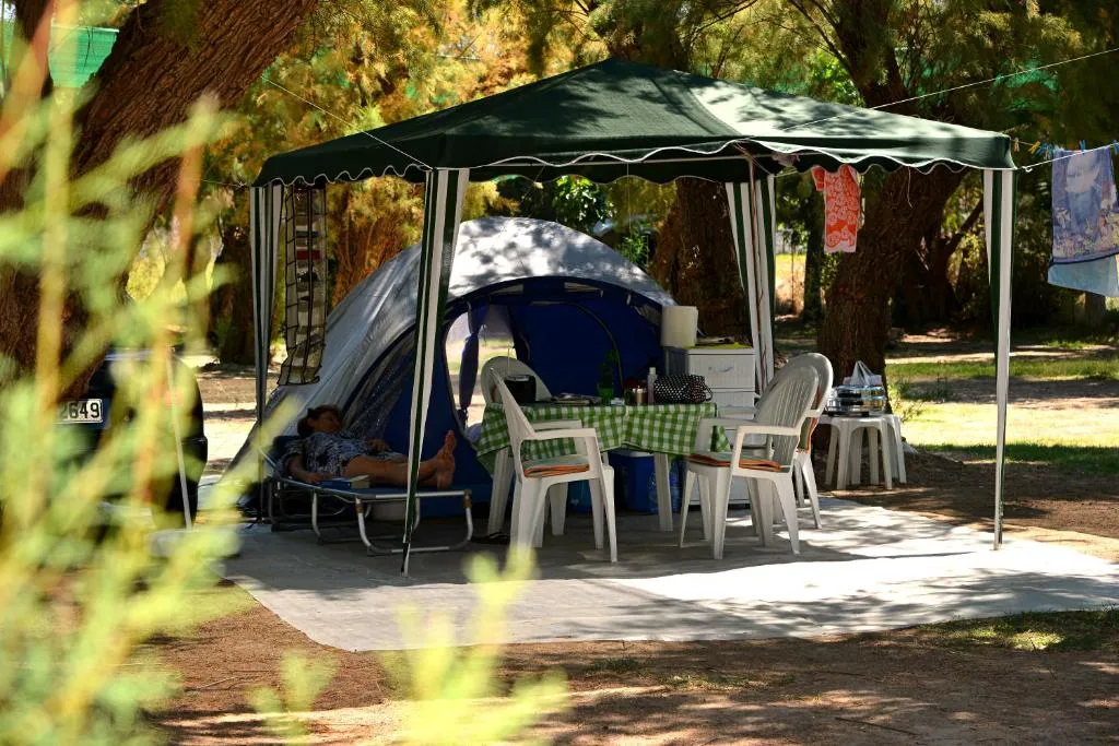 hochwertige schlafsäcke Schlafsack Schlafsackeinlage Aus Hochwertiger Baumwolle, Kompaktes Schlafsacklaken for Erwachsene, for Tragbare Reise-Camping-Hotelbettwäsche Im Brand_Numeric Racing Tech IMP'R Skihandschuhe für Farbe:Blau/Grau