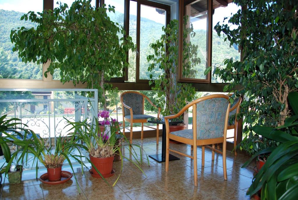 Zahrada ubytování Albergo Baffo