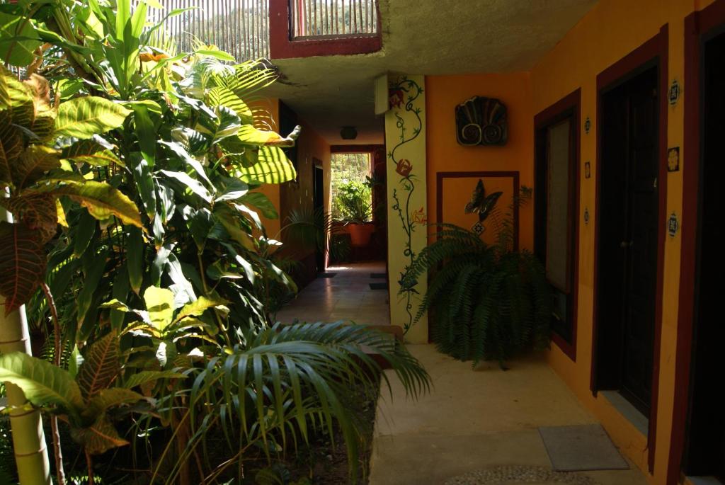 Hotel La Cabaña - Double Room With Fan