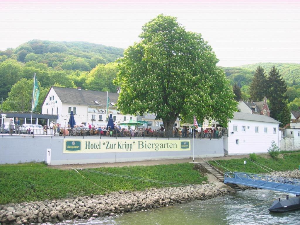 eine Gruppe von Menschen, die an einer Wand neben einem Fluss stehen in der Unterkunft Hotel Zur Kripp in Koblenz