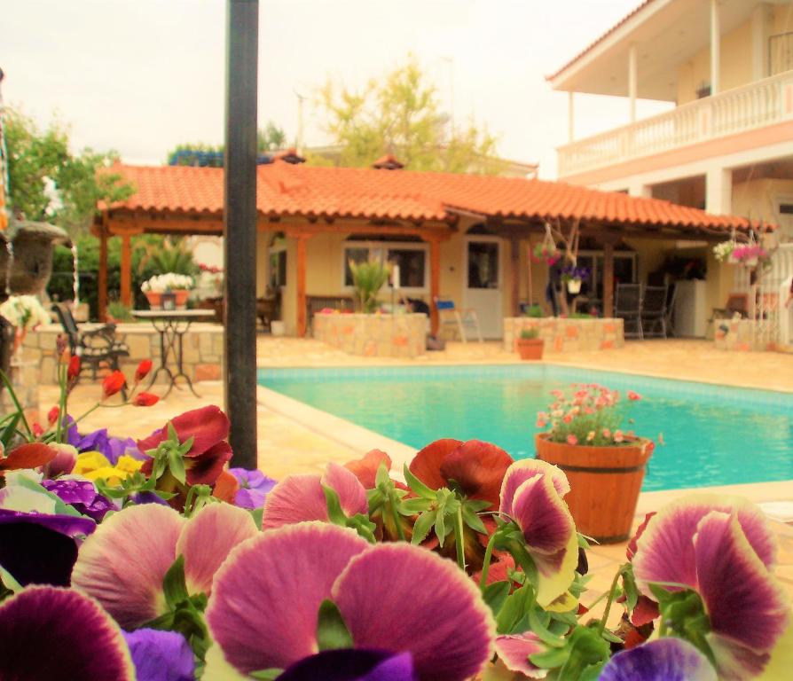 a group of flowers in front of a swimming pool at Jacuzzi Pool House AMA5690 in Chalkida
