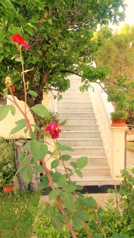 Zahrada ubytování Jacuzzi Pool House AMA5690