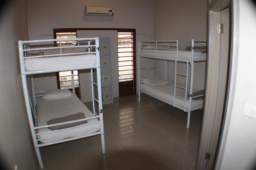 Smugglers Cove Beach Resort & Hotel - Bunkbed In Gemengde Slaapzaal Met 4 Bedden