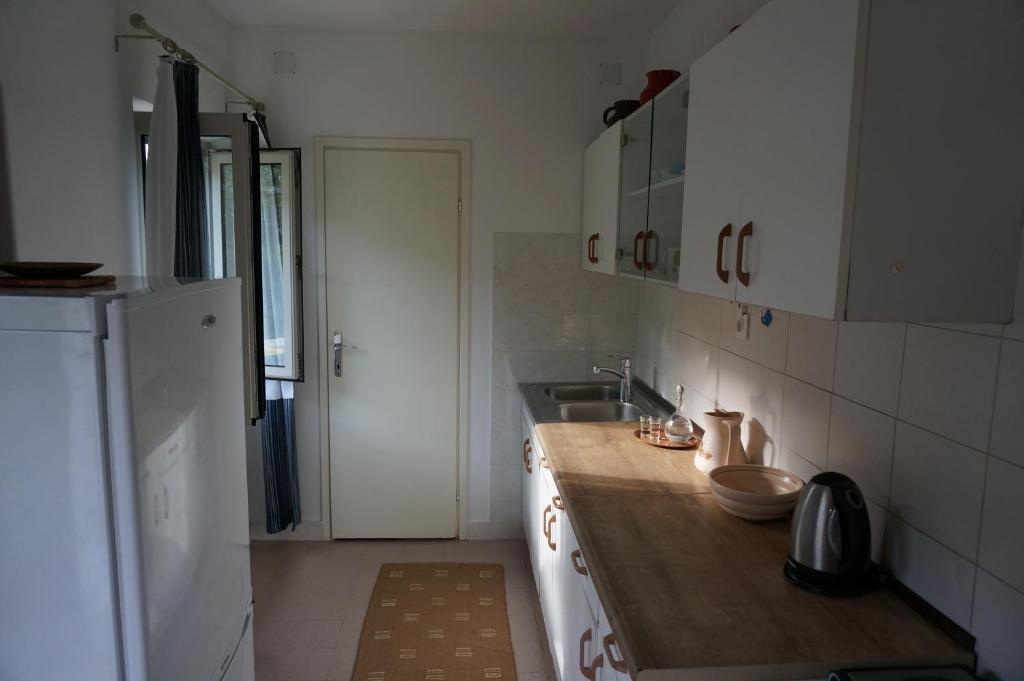 Kuchnia lub aneks kuchenny w obiekcie Apartment Stiniva