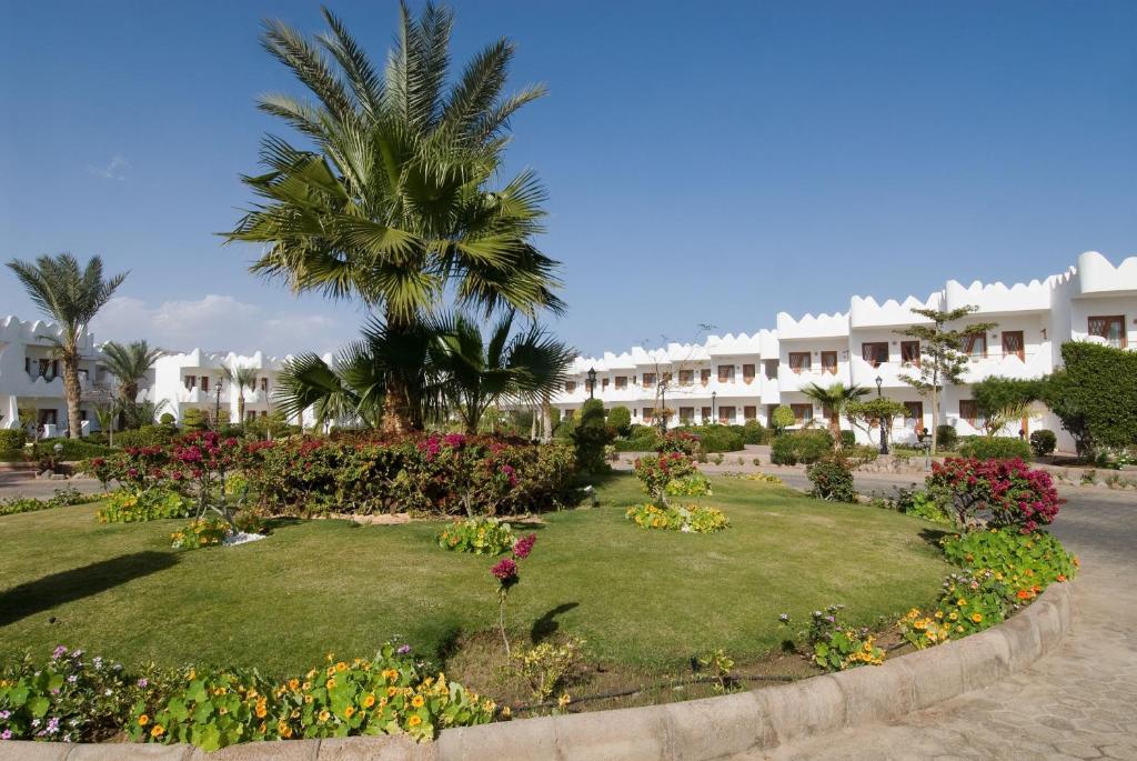 Zahrada ubytování Swiss Inn Resort Dahab