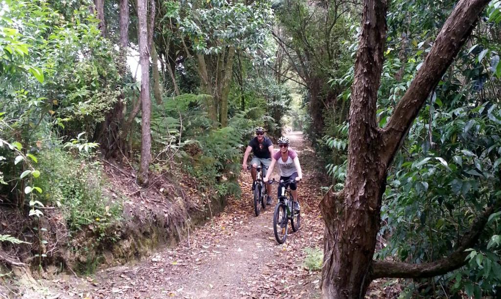 Cambridge Top 10 Holiday Park - Resim 32