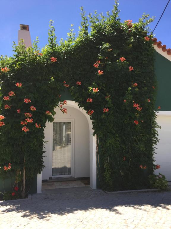 Horta dos Cedros - 1