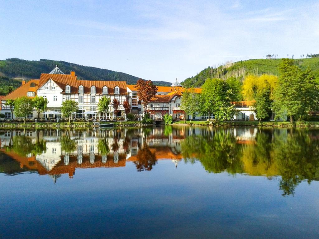 un grand bâtiment à côté d'un grand lac dans l'établissement Landhaus Zu den Rothen Forellen, à Ilsenburg