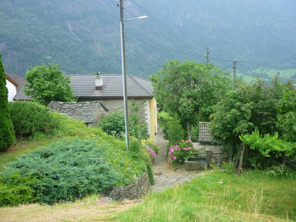 Příroda nedaleko bed and breakfast