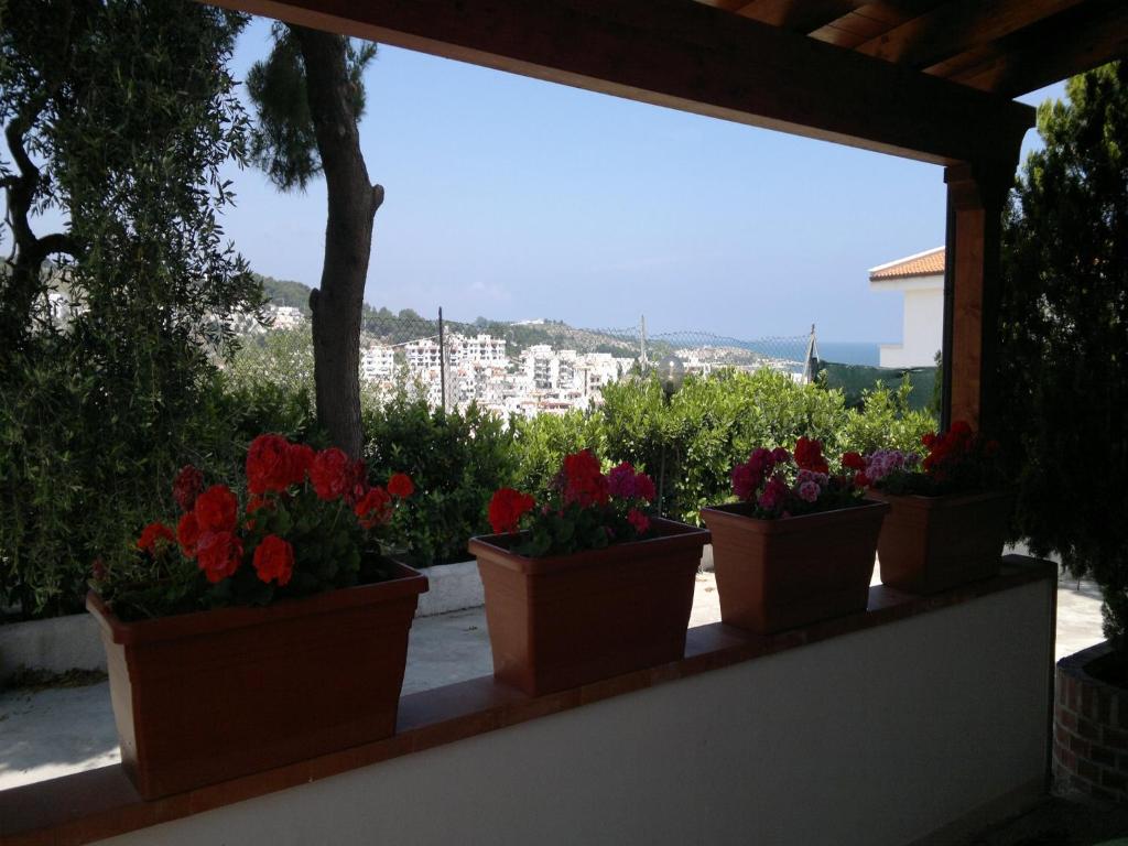 Táj az apartmanhotel közelében