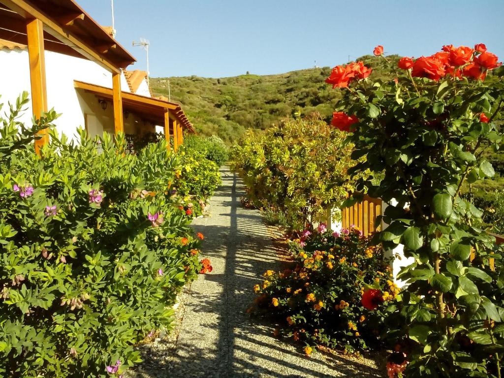 Drakano Rooms Ikaria Faros - 1