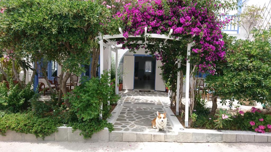 Panorama Paros 