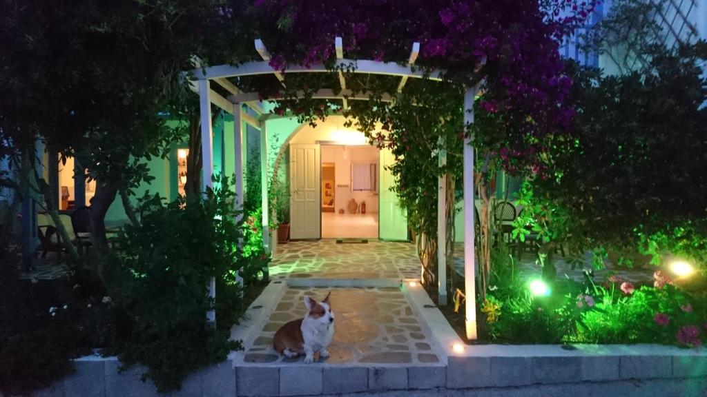 Zahrada ubytování Panorama Paros