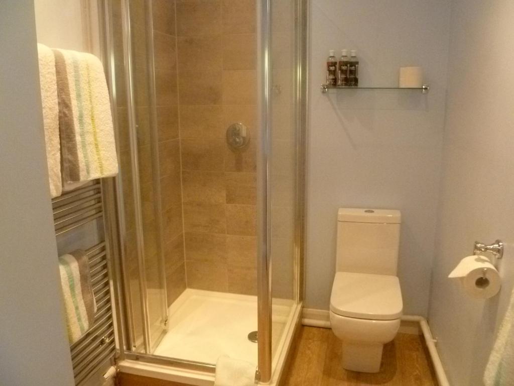 a bathroom with a shower and a toilet at The Nook @ Drop Anchor in Portishead