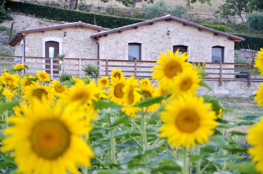 a field of yellow sunflowers in front of a building at Agriturismo Fontefredda in Tavenna