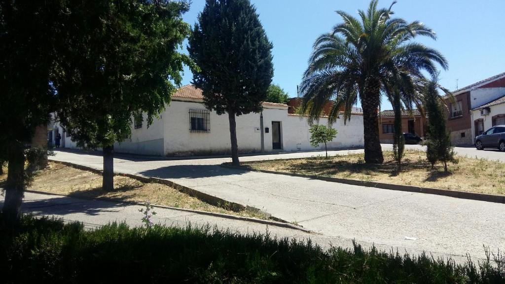 una calle con palmeras y un edificio blanco en La Casa De La Puebla en La Puebla de Montalbán