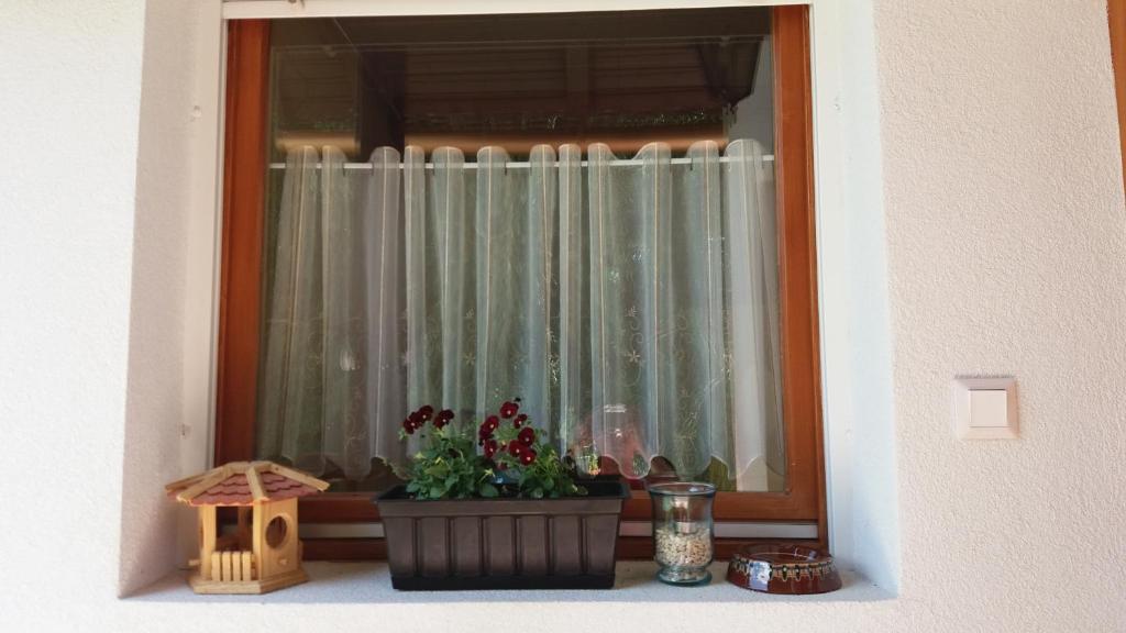 Fotografie z fotogalerie ubytování Pongrácz Apartman v destinaci Zirc