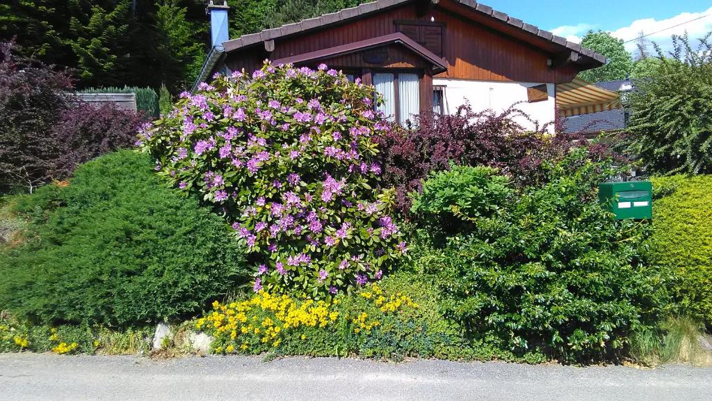 um arbusto de flores em frente a uma casa em Le Reposion em Saint-Amé