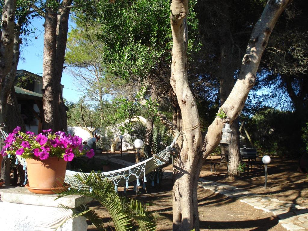 Zahrada ubytování Breezes B&B