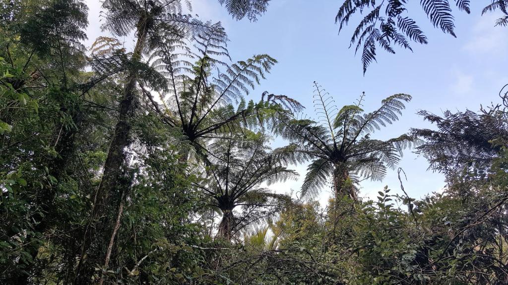 Close to beach - Resim 33