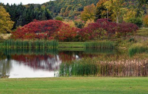 a body of water with colorful trees in the background at West Road Motel in Bennington